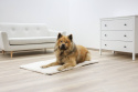 Materac dla psa Theo, 75 x 50 cm, Kerbl